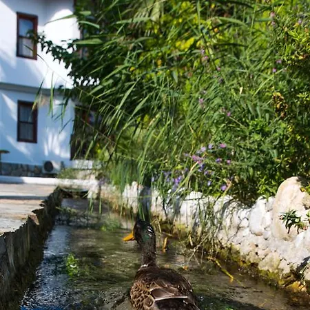 Yucelen Szálloda 4*