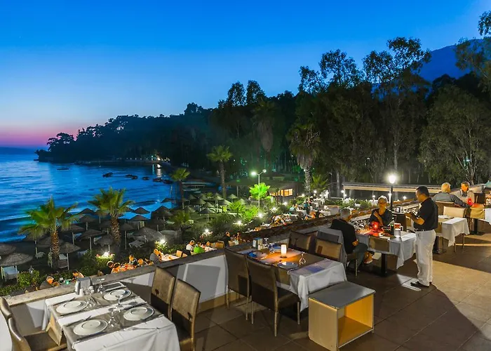 Yucelen 阿奇亚卡