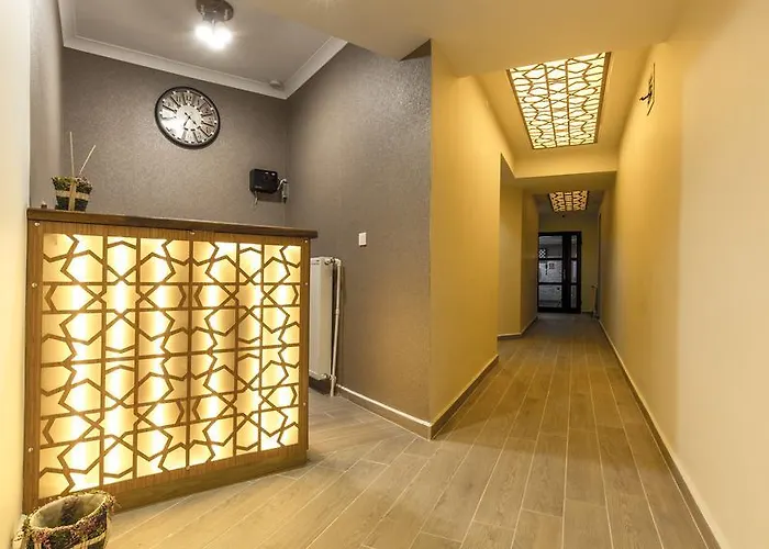 Yucelen 阿奇亚卡