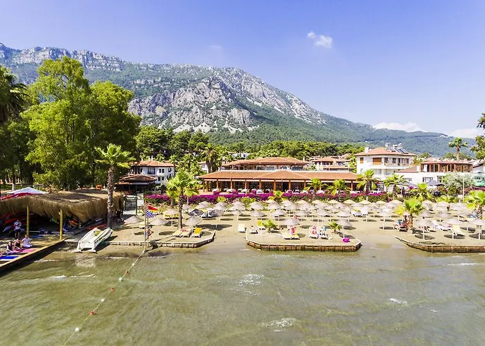 Yucelen 阿奇亚卡